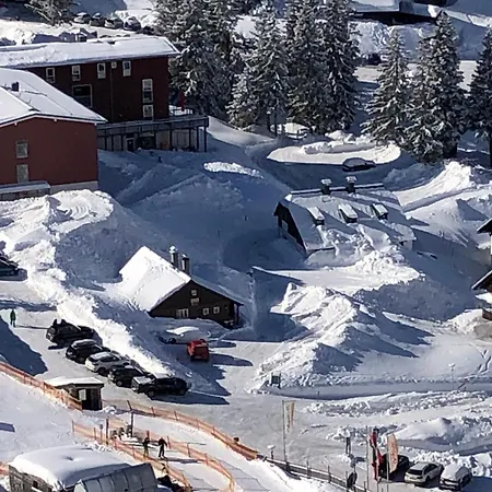 Zettlerhuette Tatil Evi Planneralm
