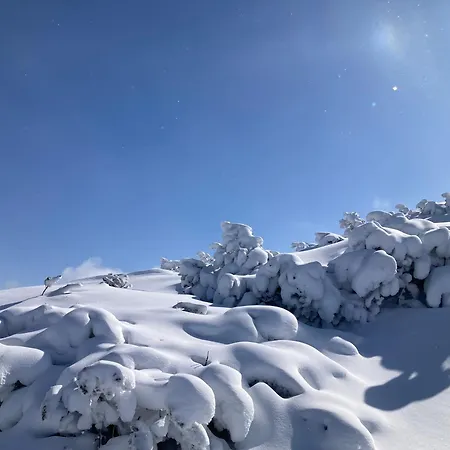 Tatil Evi Zettlerhuette Planneralm