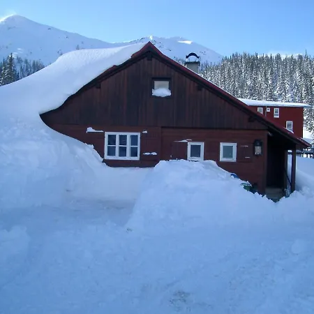 Zettlerhuette Tatil Evi Planneralm